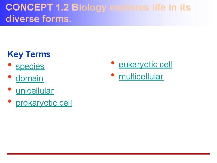 CONCEPT 1. 2 Biology explores life in its diverse forms. Key Terms • species