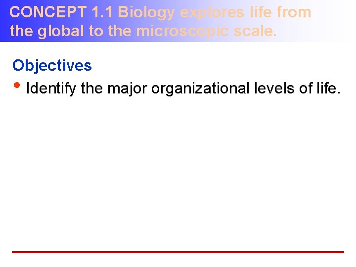 CONCEPT 1. 1 Biology explores life from the global to the microscopic scale. Objectives