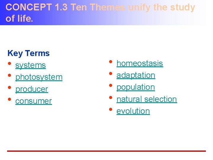 CONCEPT 1. 3 Ten Themes unify the study of life. Key Terms • systems