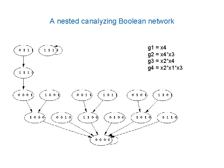 A nested canalyzing Boolean network g 1 = x 4 g 2 = x