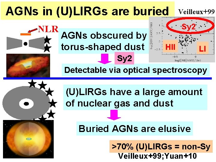 AGNs in (U)LIRGs are buried NLR AGNs obscured by torus-shaped dust Veilleux+99 Sy 2