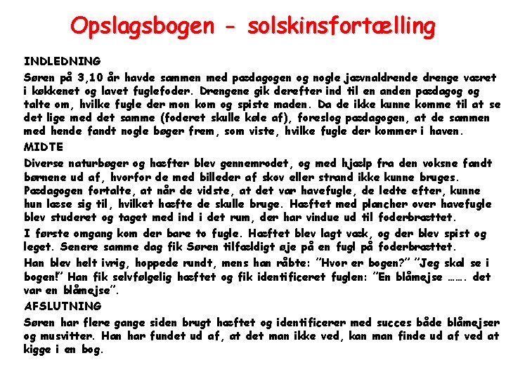 Opslagsbogen - solskinsfortælling INDLEDNING Søren på 3, 10 år havde sammen med pædagogen og