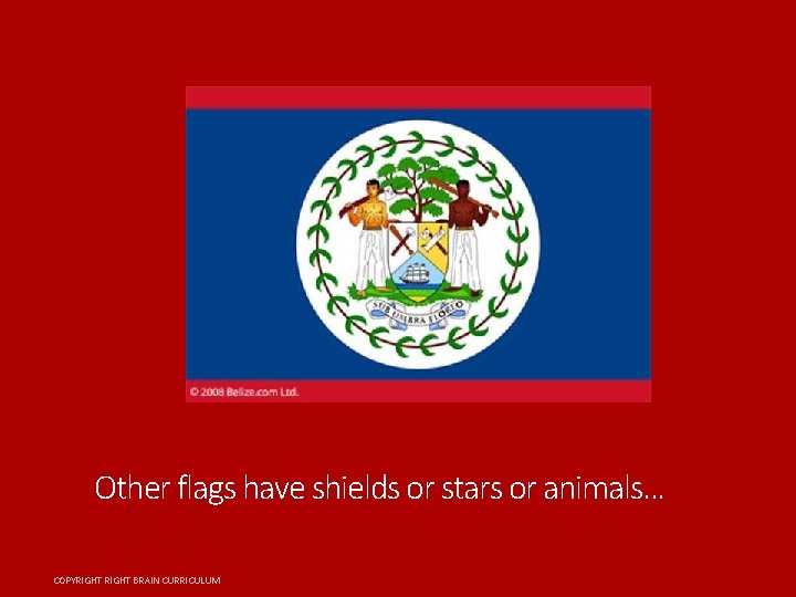 Other flags have shields or stars or animals. . . COPYRIGHT BRAIN CURRICULUM 