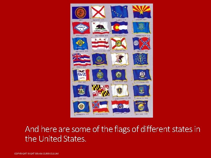 And here are some of the flags of different states in the United States.