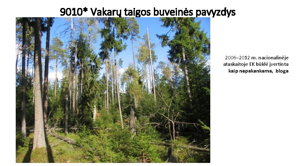 9010* Vakarų taigos buveinės pavyzdys 2006– 2012 m. nacionalinėje ataskaitoje EK būklė įvertinta kaip