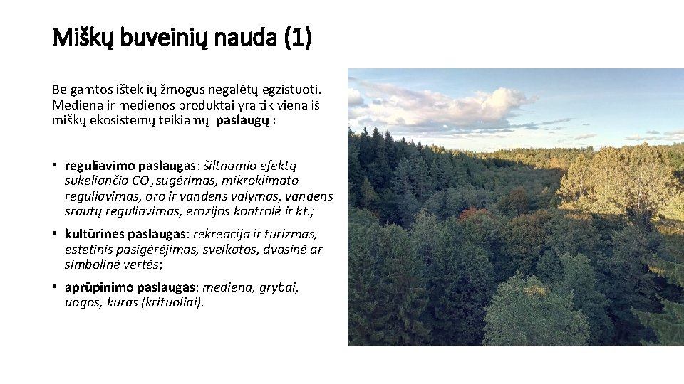 Miškų buveinių nauda (1) Be gamtos išteklių žmogus negalėtų egzistuoti. Mediena ir medienos produktai