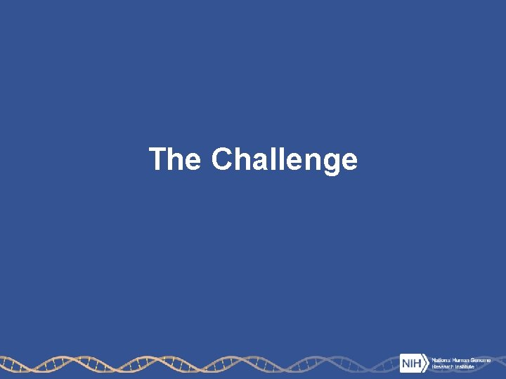 The Challenge 