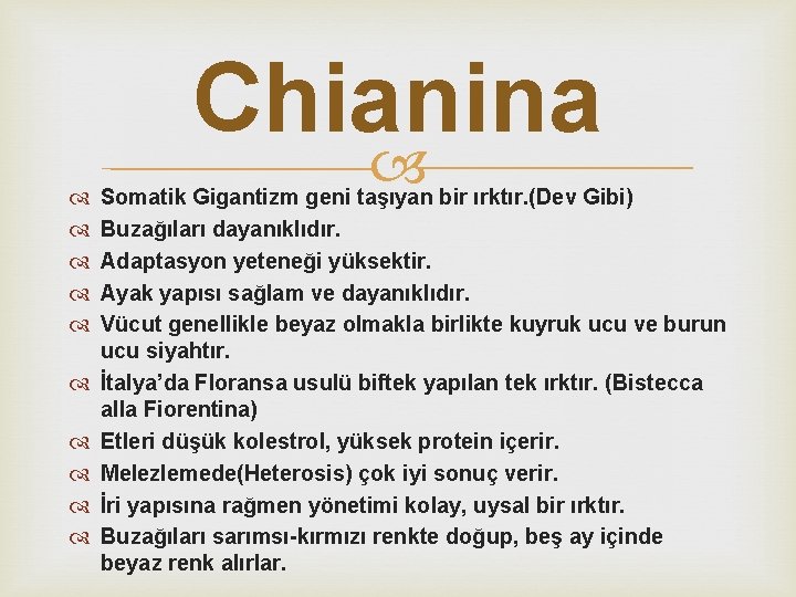 Chianina Somatik Gigantizm geni taşıyan bir ırktır. (Dev Gibi) Buzağıları dayanıklıdır. Adaptasyon yeteneği yüksektir.