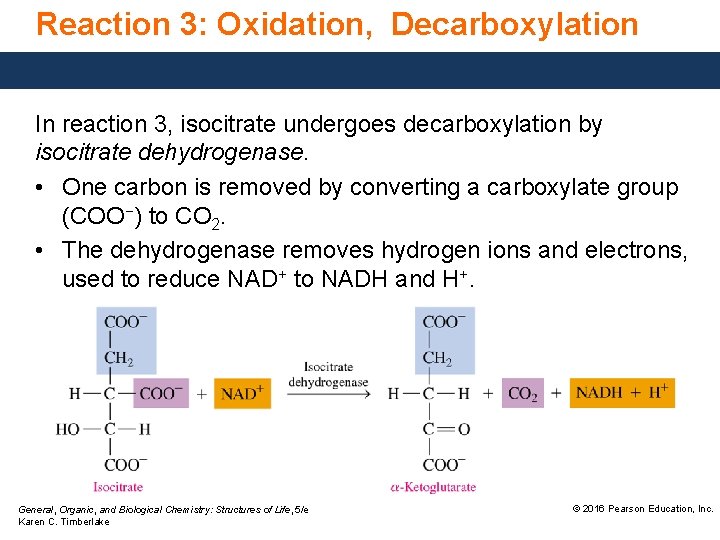 Reaction 3: Oxidation, Decarboxylation In reaction 3, isocitrate undergoes decarboxylation by isocitrate dehydrogenase. •