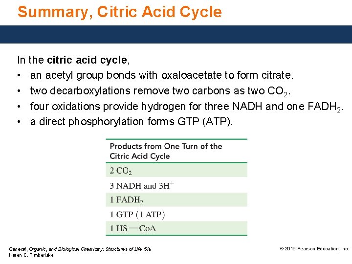 Summary, Citric Acid Cycle In the citric acid cycle, • an acetyl group bonds
