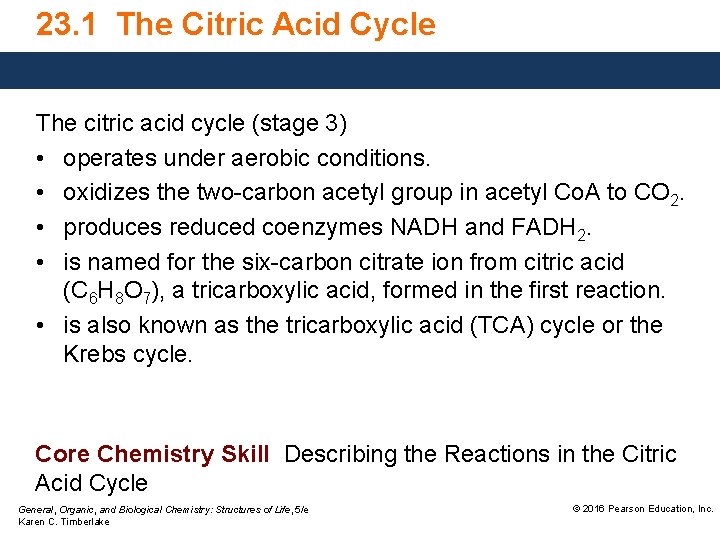 23. 1 The Citric Acid Cycle The citric acid cycle (stage 3) • operates