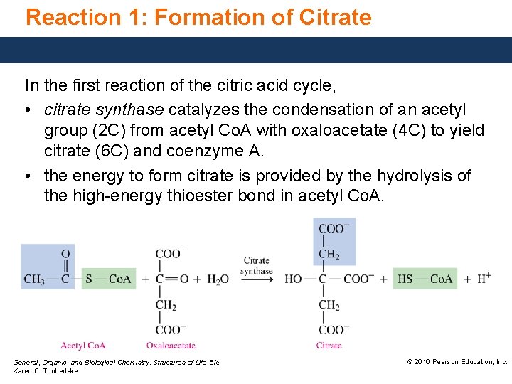 Reaction 1: Formation of Citrate In the first reaction of the citric acid cycle,