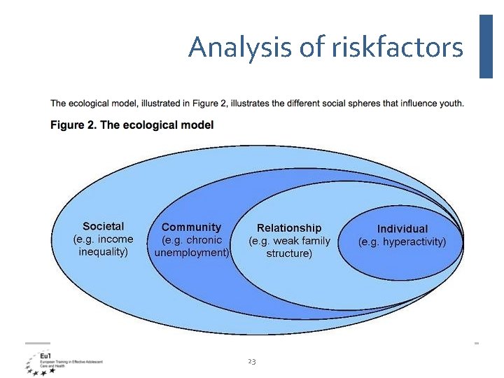 Analysis of riskfactors 23 