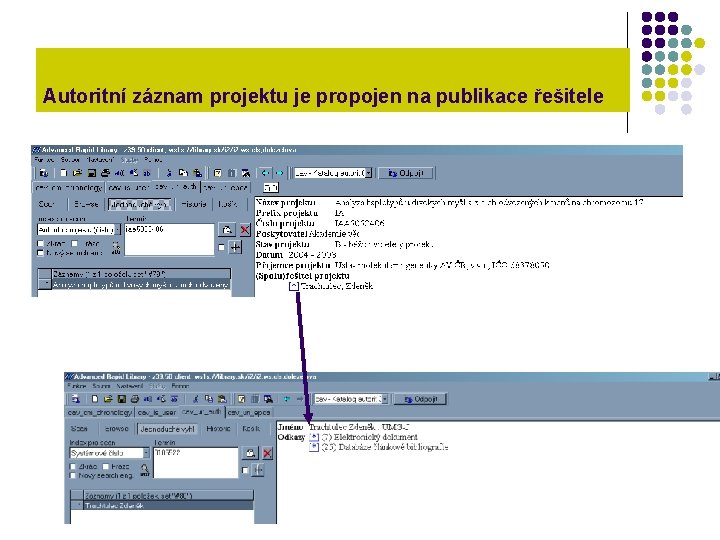 Autoritní záznam projektu je propojen na publikace řešitele 