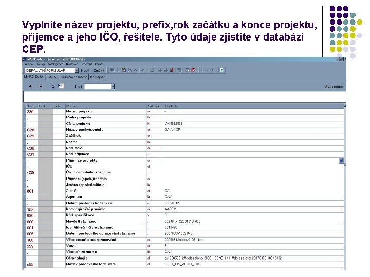 Vyplníte název projektu, prefix, rok začátku a konce projektu, příjemce a jeho IČO, řešitele.