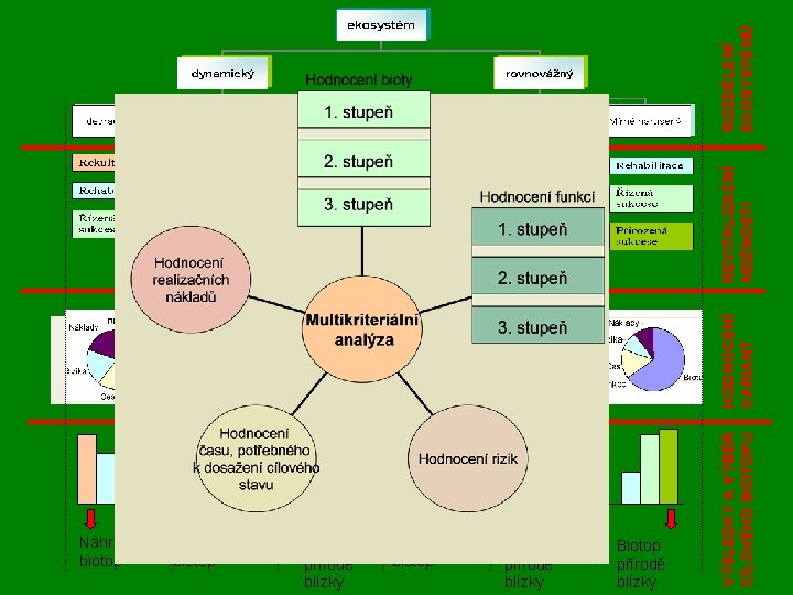 ROZDĚLENÍ EKOSYSTÉMŮ REVITALIZAČNÍ MOŽNOSTI HODNOCENÍ VARIANT Zjednodušený biotop Biotop přírodě blízký VÝSLEDKY A VÝBĚR