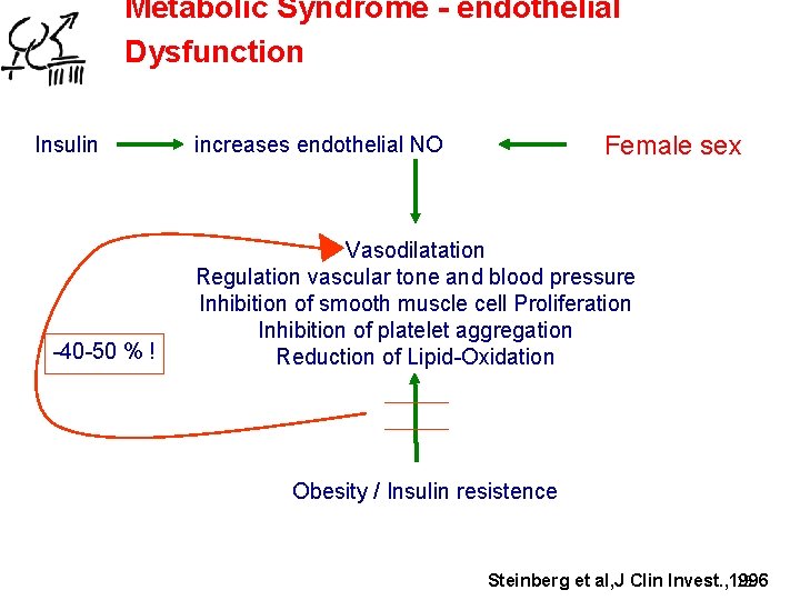 Metabolic Syndrome - endothelial Dysfunction Insulin -40 -50 % ! Female sex increases endothelial