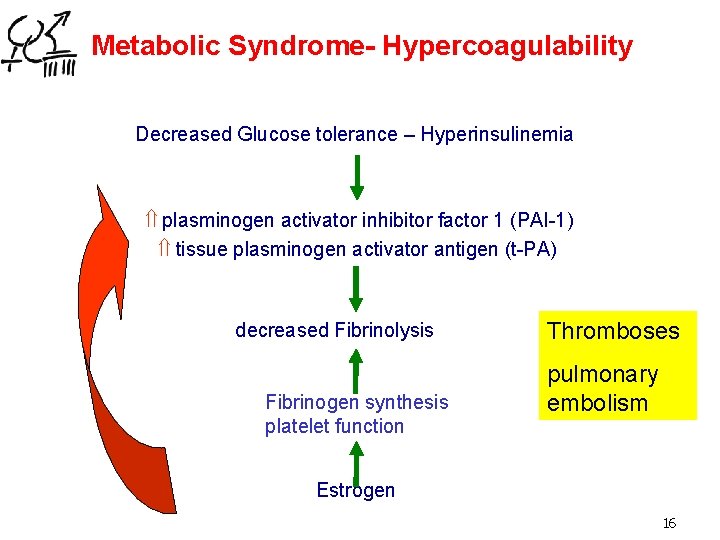 Metabolic Syndrome- Hypercoagulability Decreased Glucose tolerance – Hyperinsulinemia plasminogen activator inhibitor factor 1 (PAI-1)
