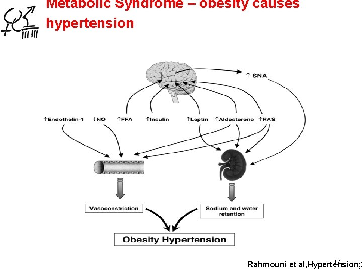 Metabolic Syndrome – obesity causes hypertension 47 Rahmouni et al, Hypertension; 2 