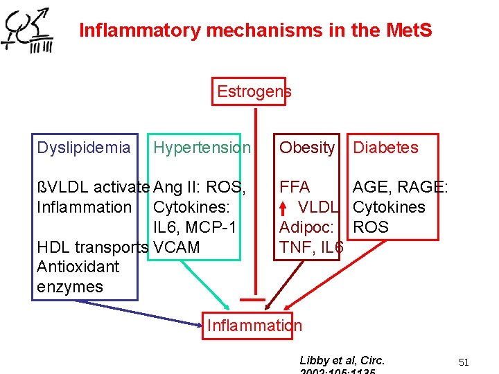 Inflammatory mechanisms in the Met. S Estrogens Dyslipidemia Hypertension ßVLDL activate Ang II: ROS,