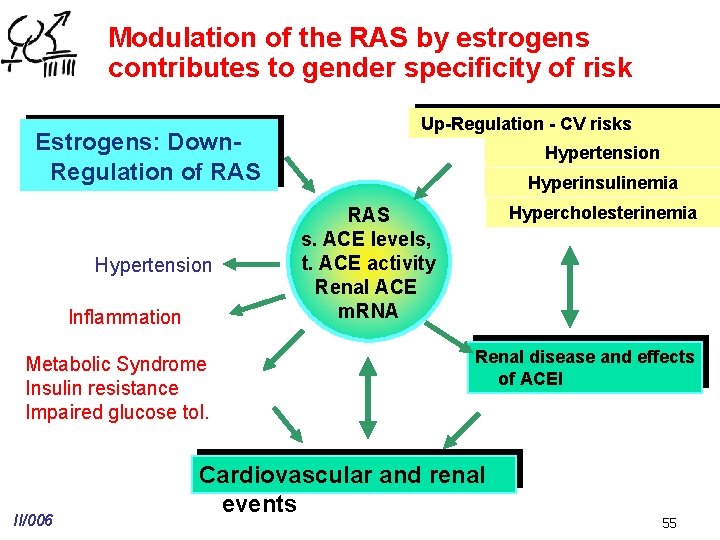 Modulation of the RAS by estrogens contributes to gender specificity of risk Estrogens: Down.