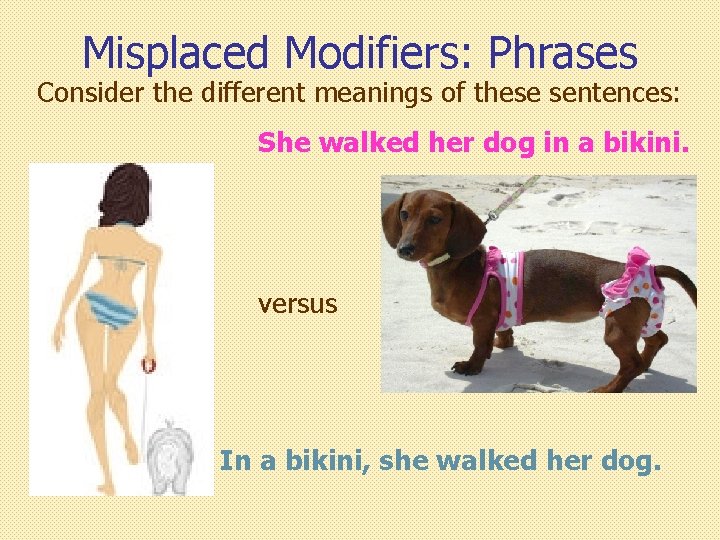 Misplaced Modifiers: Phrases Consider the different meanings of these sentences: She walked her dog Misplaced Modifiers: Phrases Consider the different meanings of these sentences: She walked her dog