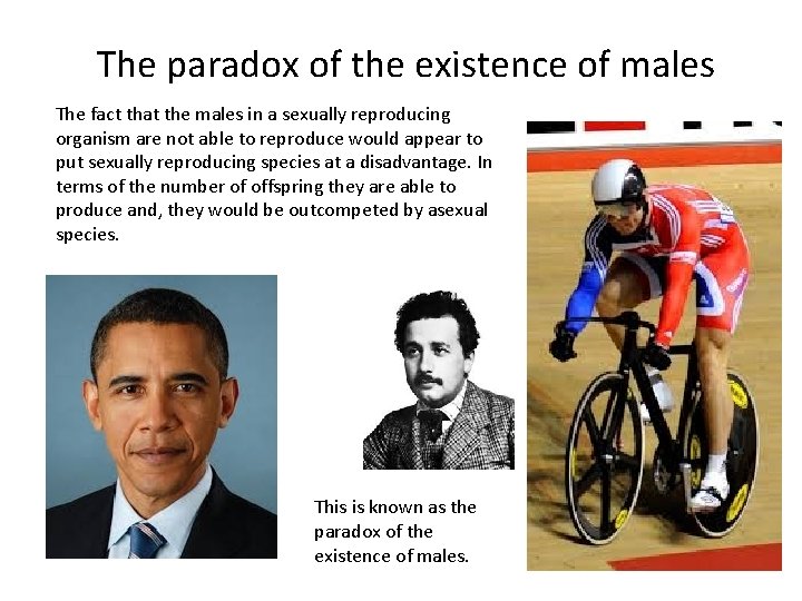 The paradox of the existence of males The fact that the males in a The paradox of the existence of males The fact that the males in a