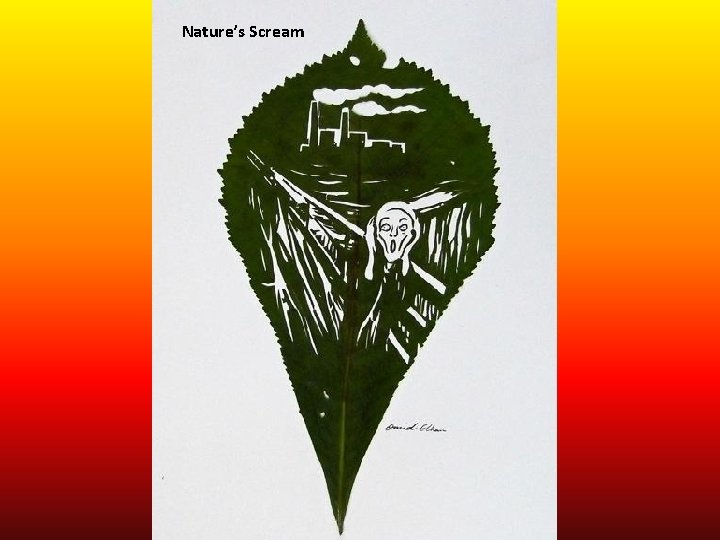 Nature’s Scream 