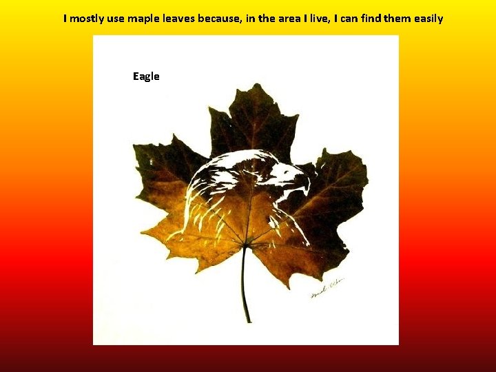 I mostly use maple leaves because, in the area I live, I can find