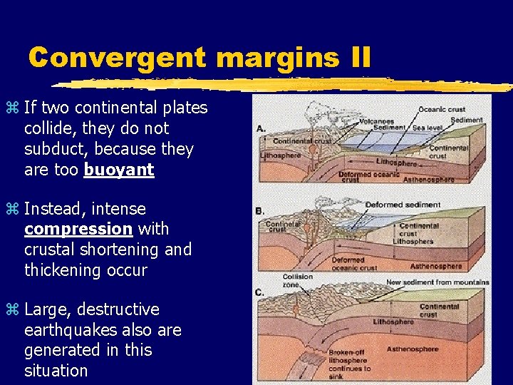 Convergent margins II z If two continental plates collide, they do not subduct, because