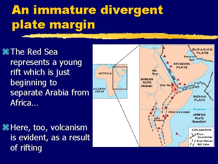 An immature divergent plate margin z The Red Sea represents a young rift which