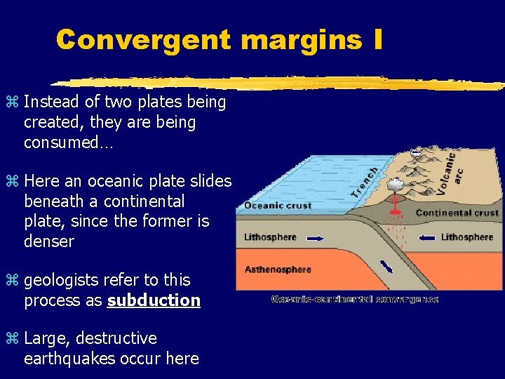 Convergent margins I z Instead of two plates being created, they are being consumed…