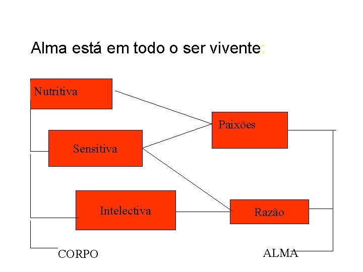 Alma está em todo o ser vivente: Nutritiva Paixões Sensitiva Intelectiva CORPO Razão ALMA