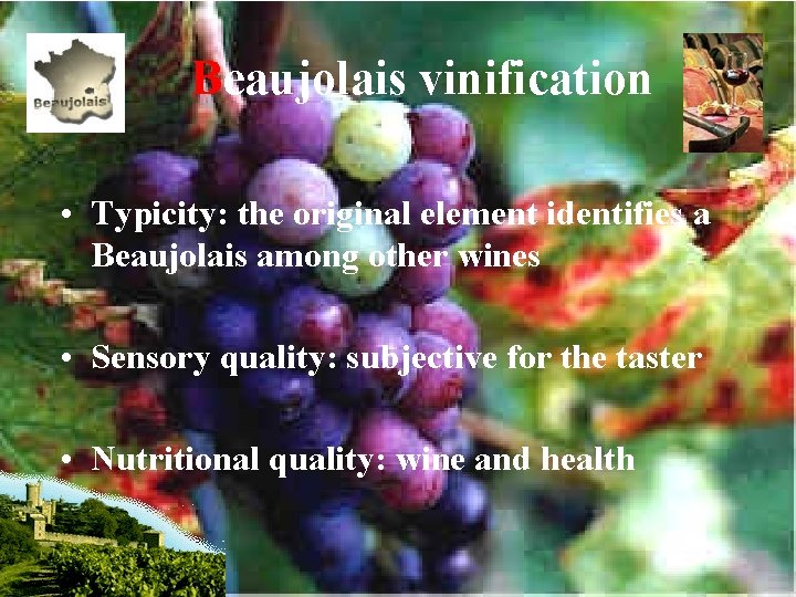  Beaujolais vinification • Typicity: the original element identifies a Beaujolais among other wines