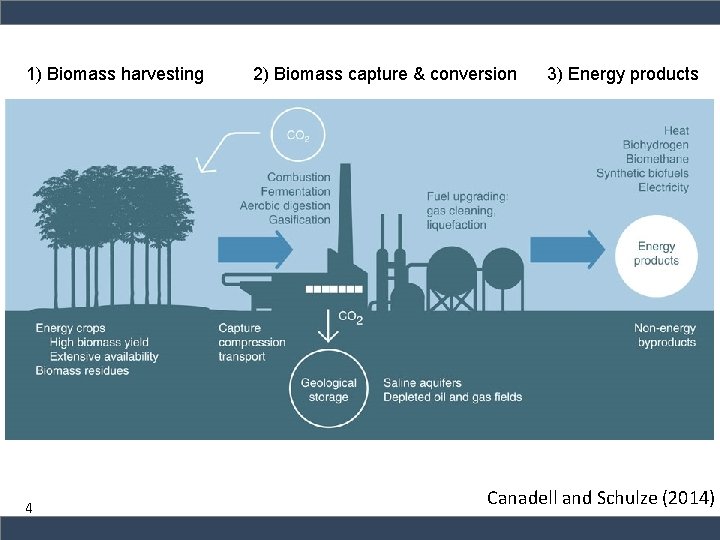 1) Biomass harvesting 4 2) Biomass capture & conversion 3) Energy products Canadell and