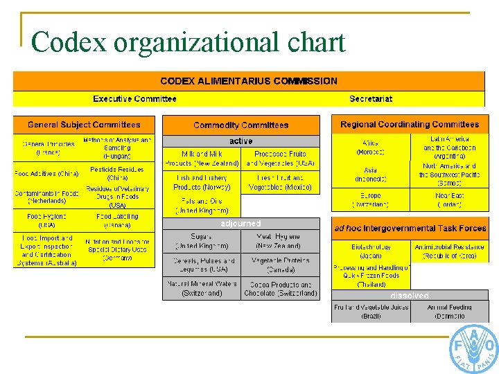 Codex organizational chart 