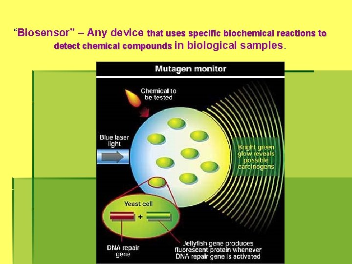 “Biosensor” – Any device that uses specific biochemical reactions to detect chemical compounds in