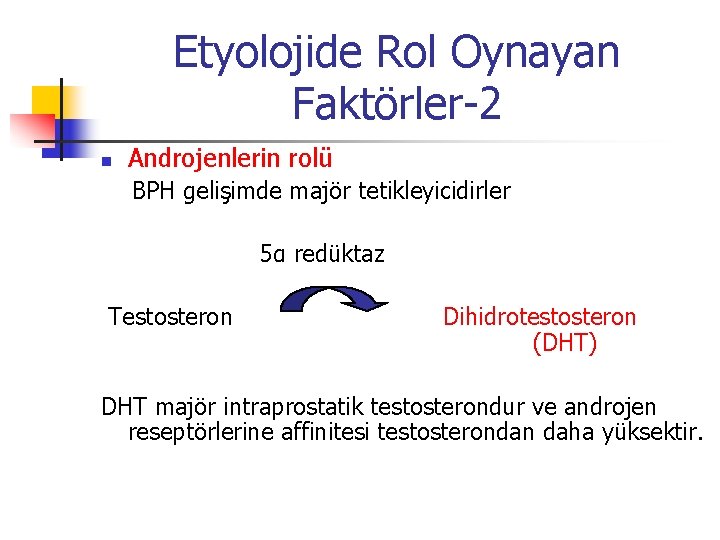 Etyolojide Rol Oynayan Faktörler-2 n Androjenlerin rolü BPH gelişimde majör tetikleyicidirler 5α redüktaz Testosteron