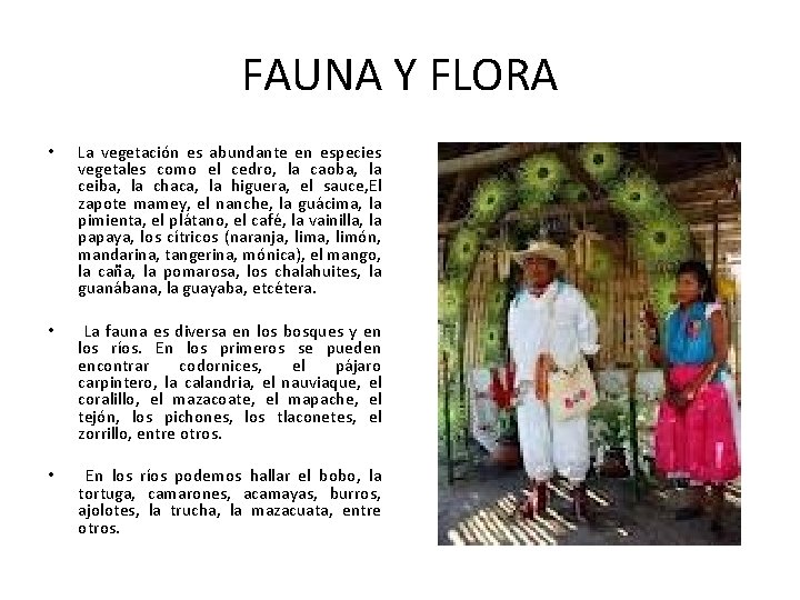 FAUNA Y FLORA • La vegetación es abundante en especies vegetales como el cedro,