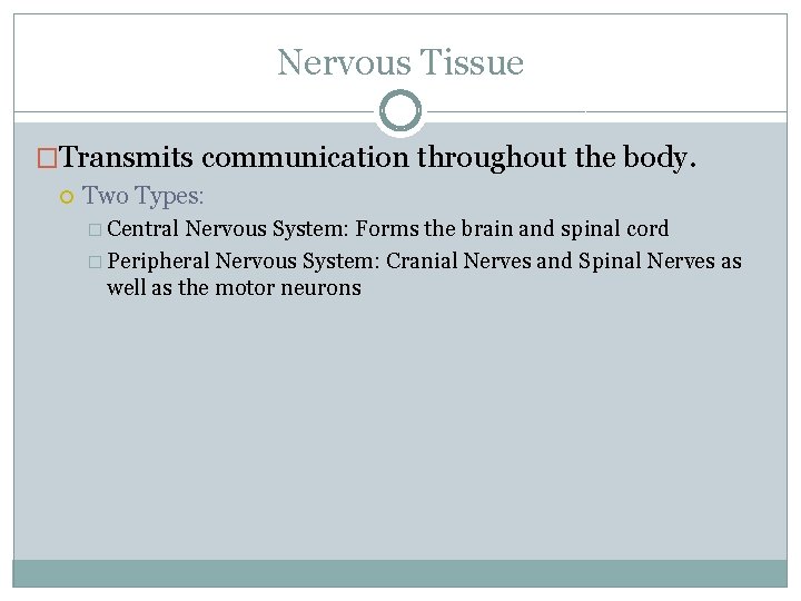 Nervous Tissue �Transmits communication throughout the body. Two Types: � Central Nervous System: Forms