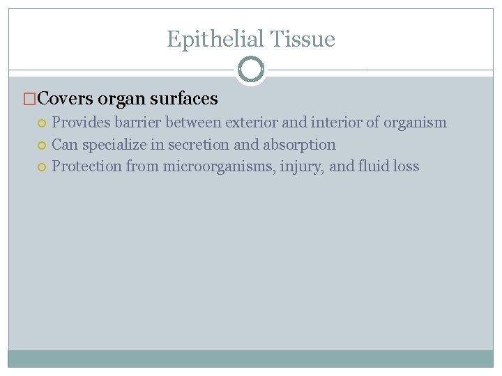 Epithelial Tissue �Covers organ surfaces Provides barrier between exterior and interior of organism Can
