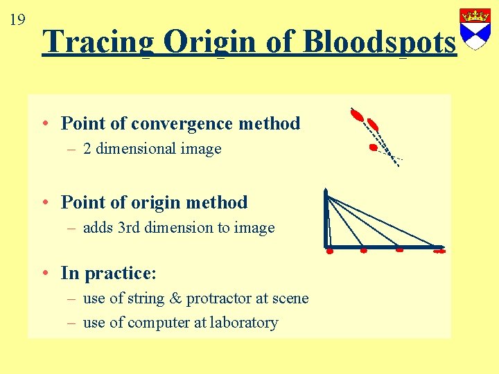 19 Tracing Origin of Bloodspots • Point of convergence method – 2 dimensional image