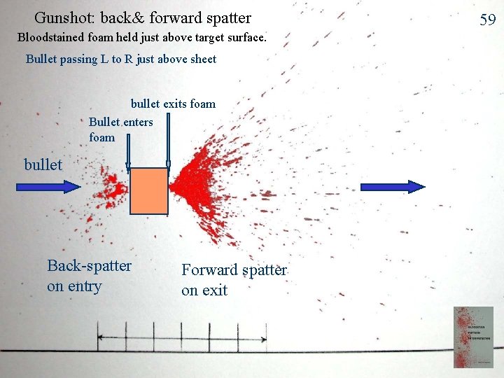 Gunshot: back& forward spatter Bloodstained foam held just above target surface. Bullet passing L