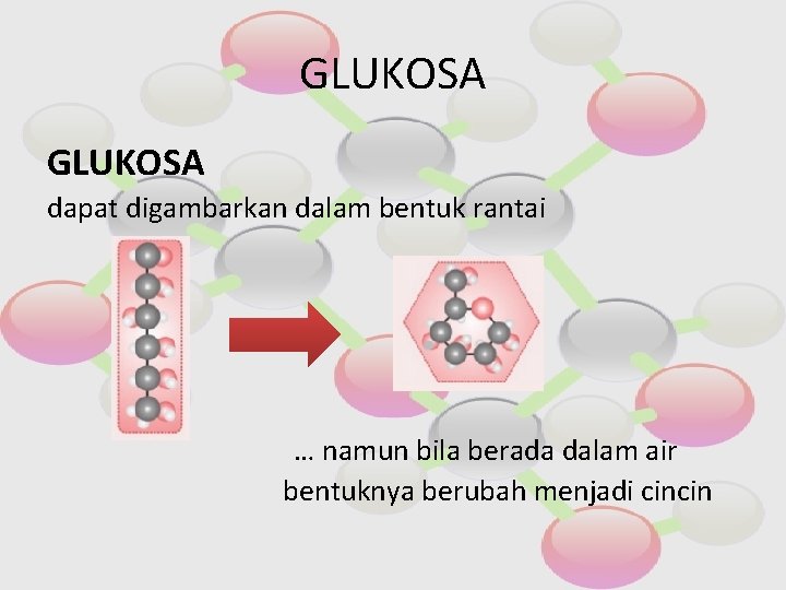 GLUKOSA dapat digambarkan dalam bentuk rantai … namun bila berada dalam air bentuknya berubah