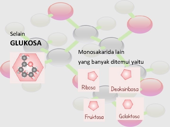 Selain GLUKOSA Monosakarida lain yang banyak ditemui yaitu 