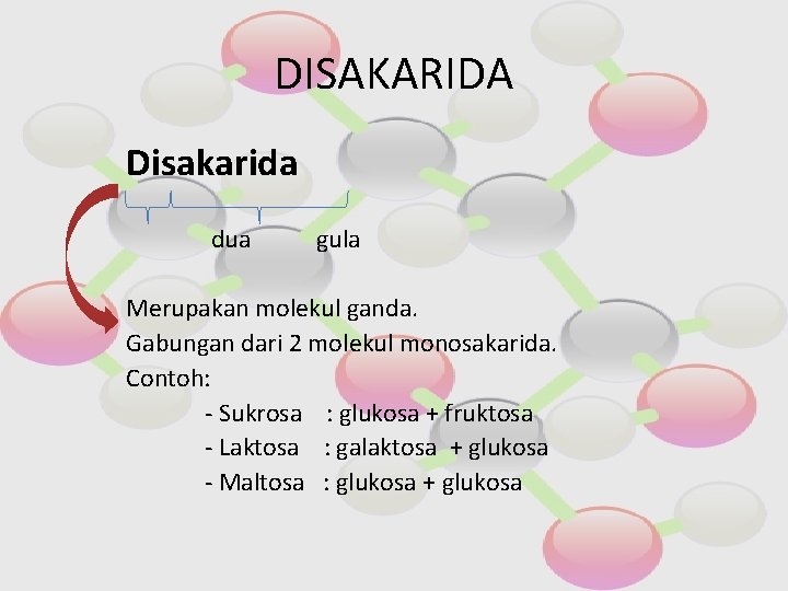 DISAKARIDA Disakarida dua gula Merupakan molekul ganda. Gabungan dari 2 molekul monosakarida. Contoh: -