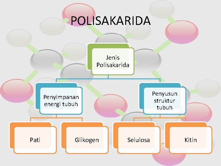 POLISAKARIDA Jenis Polisakarida Penyusun struktur tubuh Penyimpanan energi tubuh Pati Glikogen Selulosa Kitin 