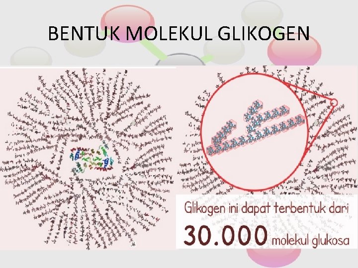 BENTUK MOLEKUL GLIKOGEN 