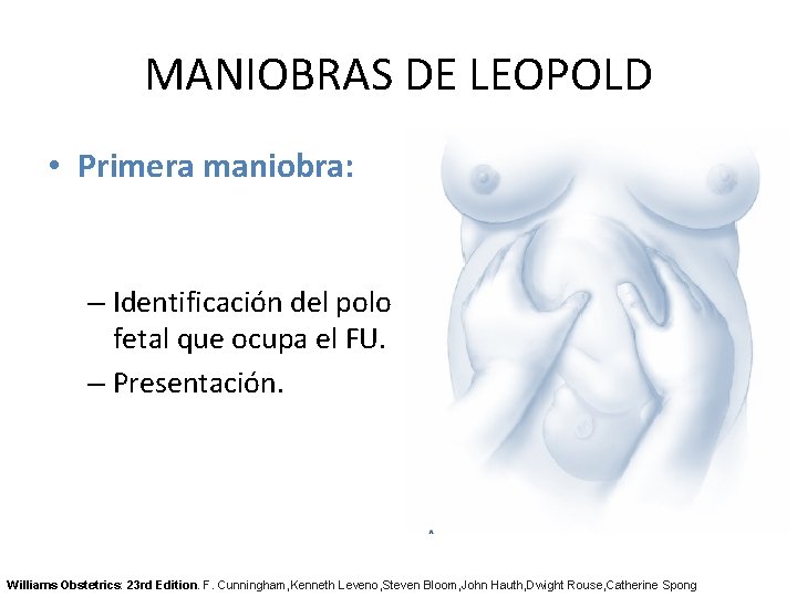 MANIOBRAS DE LEOPOLD • Primera maniobra: – Identificación del polo fetal que ocupa el