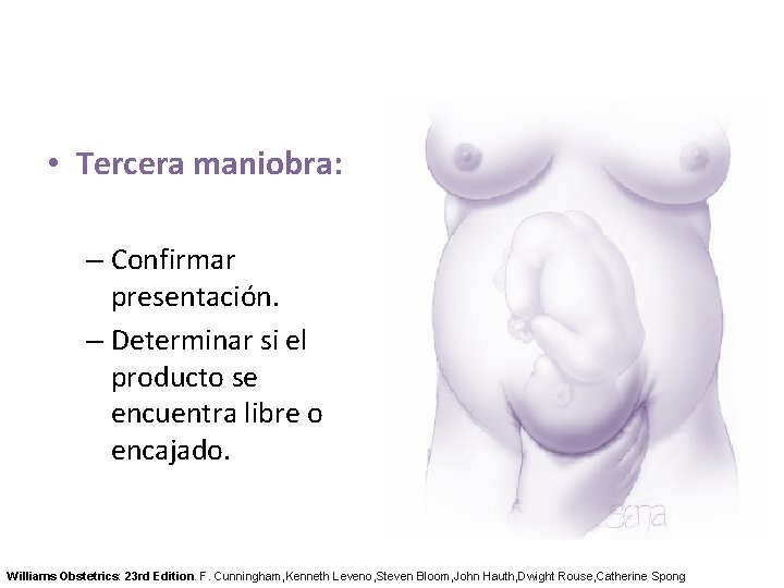  • Tercera maniobra: – Confirmar presentación. – Determinar si el producto se encuentra